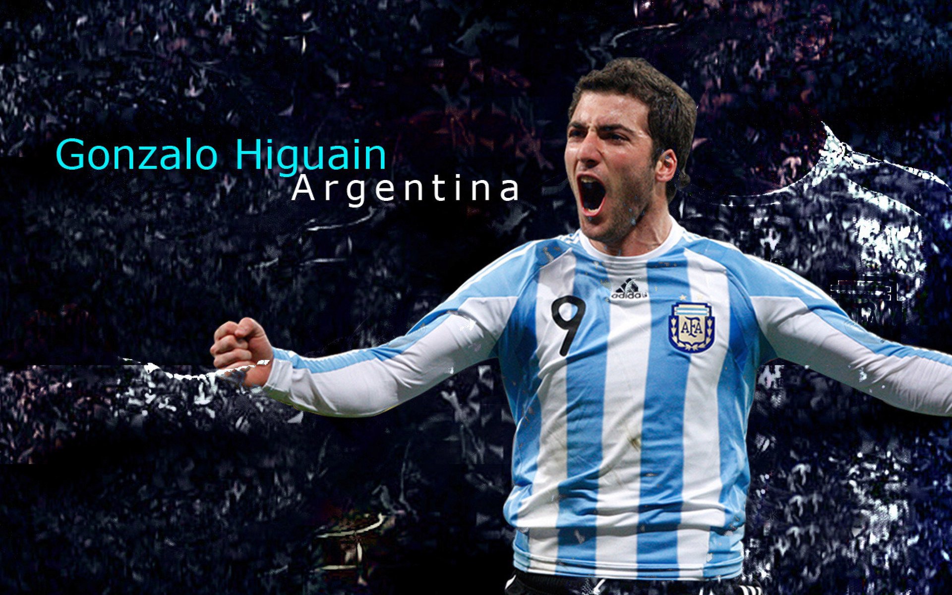 Leyu Sport登录入口-球迷风采：粉丝的热情应援点燃赛场，球迷粉丝怎么称呼好听